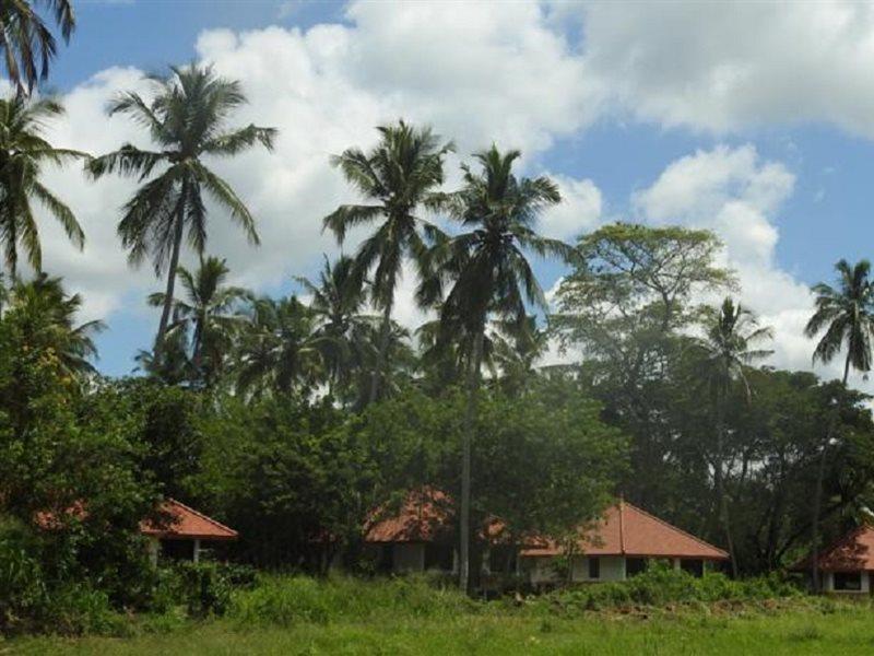 Jetwing Kaduruketha Hotel Wellawaya Kültér fotó